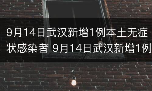 9月14日武汉新增1例本土无症状感染者 9月14日武汉新增1例本土无症状感染者