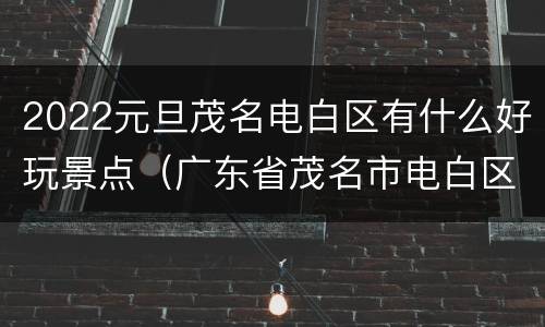 2022元旦茂名电白区有什么好玩景点（广东省茂名市电白区旅游景点）