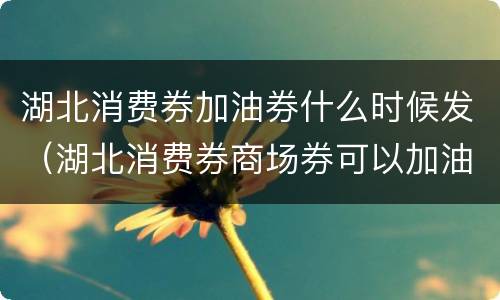 湖北消费券加油券什么时候发（湖北消费券商场券可以加油）