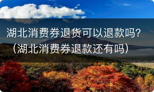 湖北消费券退货可以退款吗？（湖北消费券退款还有吗）