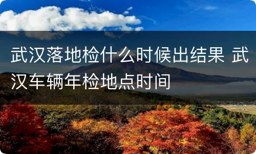 武汉落地检什么时候出结果 武汉车辆年检地点时间