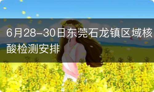 6月28-30日东莞石龙镇区域核酸检测安排