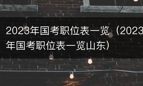 2023年国考职位表一览（2023年国考职位表一览山东）