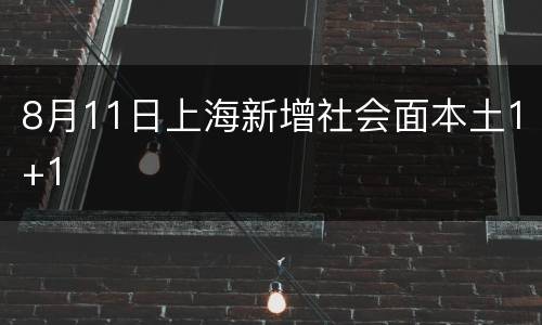 8月11日上海新增社会面本土1+1