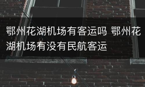 鄂州花湖机场有客运吗 鄂州花湖机场有没有民航客运