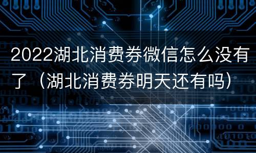 2022湖北消费券微信怎么没有了（湖北消费券明天还有吗）