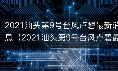 2021汕头第9号台风卢碧最新消息（2021汕头第9号台风卢碧最新消息新闻）