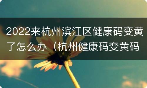 2022来杭州滨江区健康码变黄了怎么办（杭州健康码变黄码怎么办）