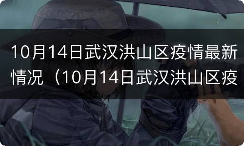 10月14日武汉洪山区疫情最新情况（10月14日武汉洪山区疫情最新情况视频）
