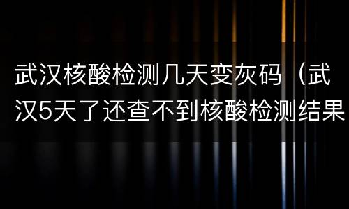 武汉核酸检测几天变灰码（武汉5天了还查不到核酸检测结果）