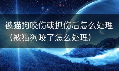 被猫狗咬伤或抓伤后怎么处理（被猫狗咬了怎么处理）