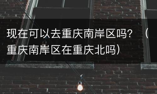 现在可以去重庆南岸区吗？（重庆南岸区在重庆北吗）