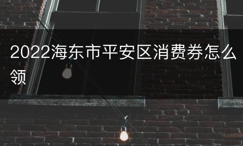 2022海东市平安区消费券怎么领