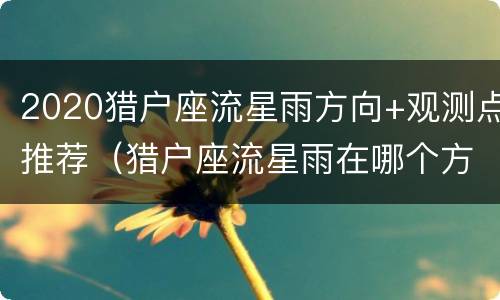 2020猎户座流星雨方向+观测点推荐（猎户座流星雨在哪个方向）