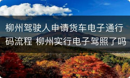 柳州驾驶人申请货车电子通行码流程 柳州实行电子驾照了吗