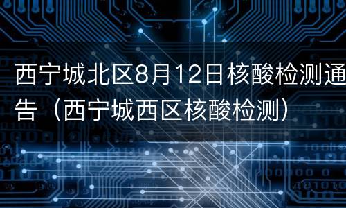 西宁城北区8月12日核酸检测通告（西宁城西区核酸检测）
