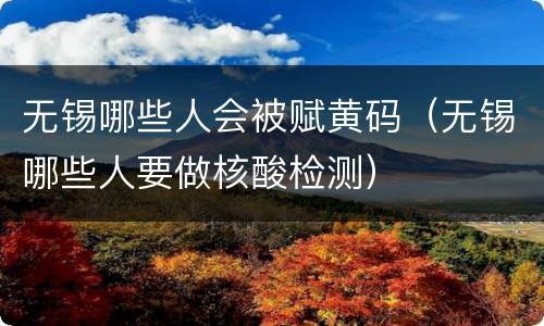 无锡哪些人会被赋黄码（无锡哪些人要做核酸检测）