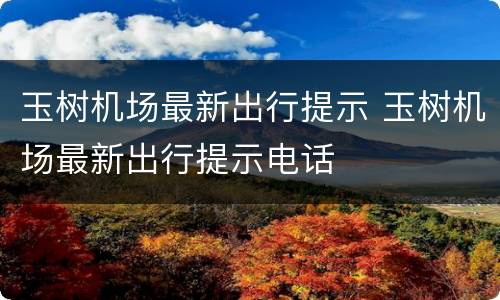 玉树机场最新出行提示 玉树机场最新出行提示电话