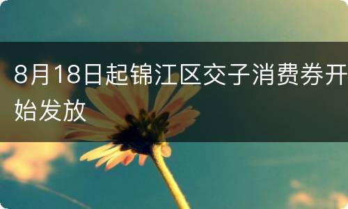 8月18日起锦江区交子消费券开始发放