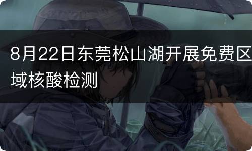 8月22日东莞松山湖开展免费区域核酸检测