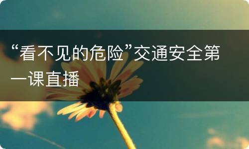 “看不见的危险”交通安全第一课直播