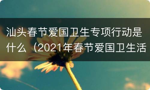 汕头春节爱国卫生专项行动是什么（2021年春节爱国卫生活动）