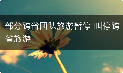 部分跨省团队旅游暂停 叫停跨省旅游