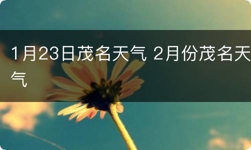 1月23日茂名天气 2月份茂名天气