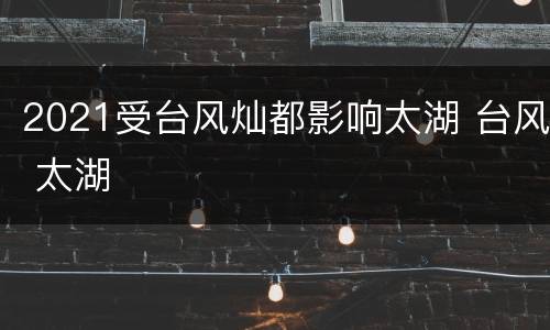 2021受台风灿都影响太湖 台风 太湖