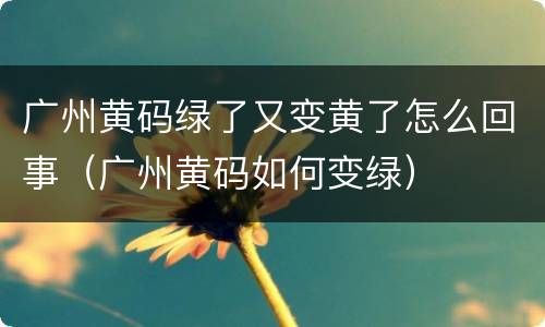 广州黄码绿了又变黄了怎么回事（广州黄码如何变绿）