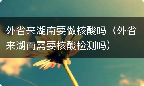 外省来湖南要做核酸吗（外省来湖南需要核酸检测吗）