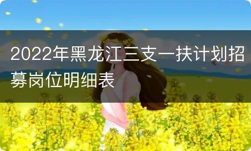 2022年黑龙江三支一扶计划招募岗位明细表