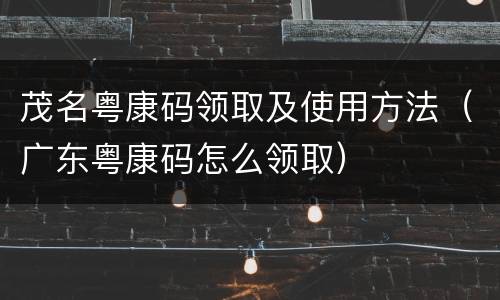 茂名粤康码领取及使用方法（广东粤康码怎么领取）