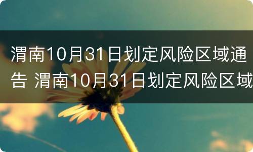 渭南10月31日划定风险区域通告 渭南10月31日划定风险区域通告最新