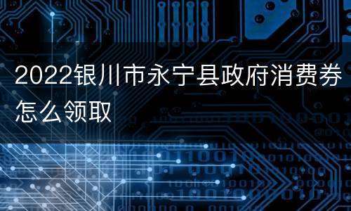 2022银川市永宁县政府消费券怎么领取