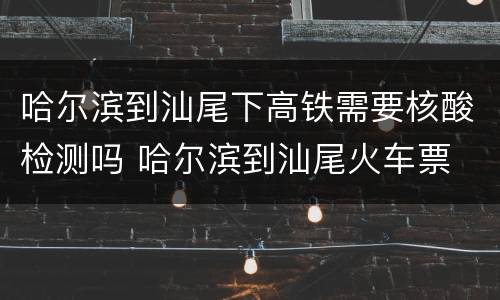 哈尔滨到汕尾下高铁需要核酸检测吗 哈尔滨到汕尾火车票