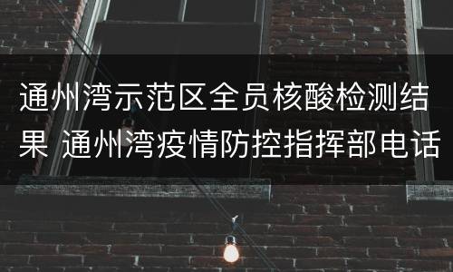 通州湾示范区全员核酸检测结果 通州湾疫情防控指挥部电话