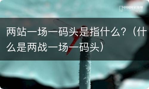 两站一场一码头是指什么?（什么是两战一场一码头）