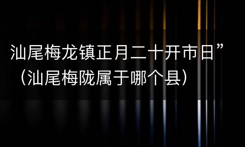 汕尾梅龙镇正月二十开市日”（汕尾梅陇属于哪个县）
