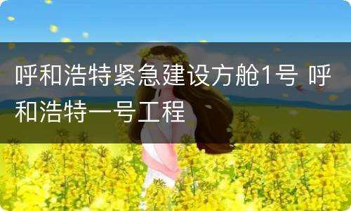 呼和浩特紧急建设方舱1号 呼和浩特一号工程