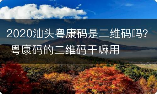 2020汕头粤康码是二维码吗？ 粤康码的二维码干嘛用