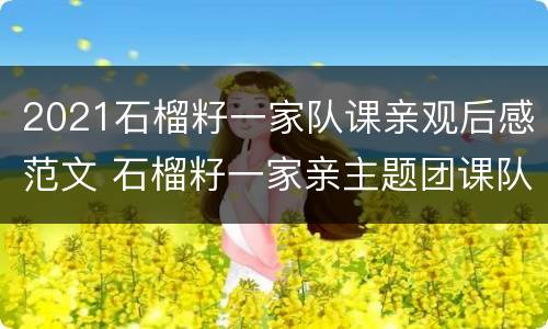 2021石榴籽一家队课亲观后感范文 石榴籽一家亲主题团课队课心得体会观后感