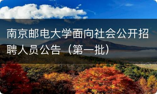 南京邮电大学面向社会公开招聘人员公告（第一批）