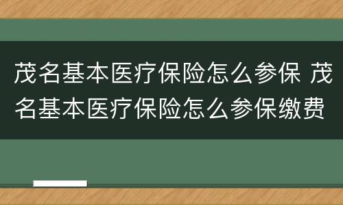 茂名基本医疗保险怎么参保 茂名基本医疗保险怎么参保缴费