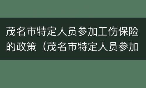 茂名市特定人员参加工伤保险的政策（茂名市特定人员参加工伤保险的政策文件）