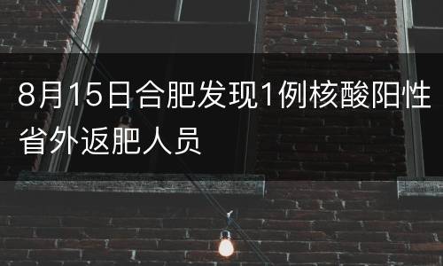 8月15日合肥发现1例核酸阳性省外返肥人员