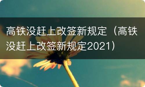 高铁没赶上改签新规定（高铁没赶上改签新规定2021）