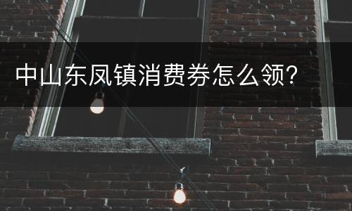 中山东凤镇消费券怎么领?