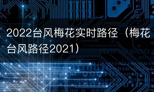 2022台风梅花实时路径（梅花台风路径2021）