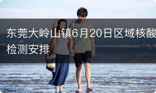 东莞大岭山镇6月20日区域核酸检测安排